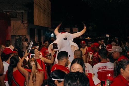 Boi Garantido leva fé, rosas e tradição às ruas de Parintins na Ladainha de Santo Antônio