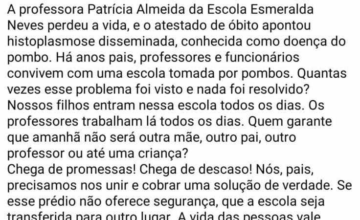 Pais denunciam precariedade na Escola Municipal após morte de professora por doença associada a fezes de pombos
