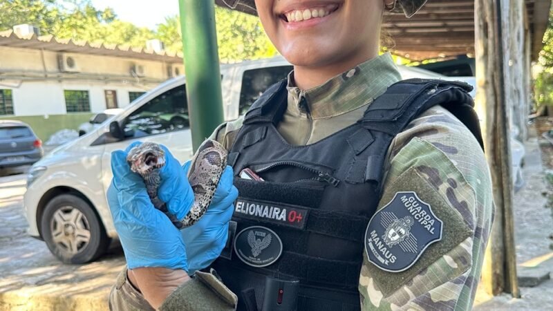 Patrulhamento Ambiental realiza quatro resgates de animais silvestres na capital