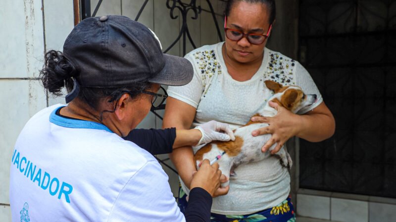 Prefeitura de Manaus publica edital com nova convocação do processo seletivo para atuação na vacinação antirrábica animal