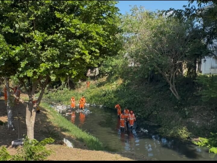 Prefeitura realiza mutirão de limpeza em homenagem aos 52 anos da Redenção