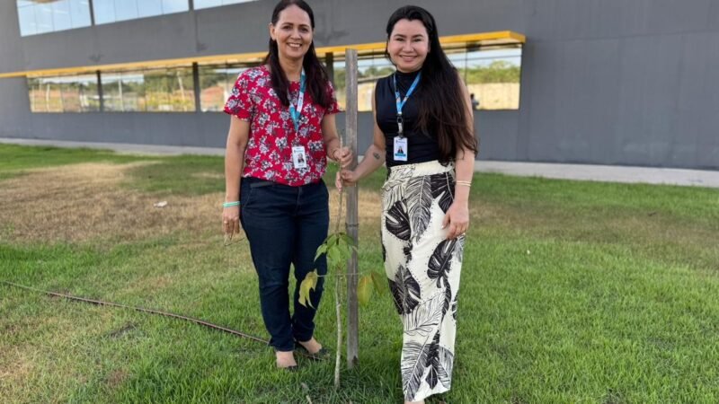 Servidores reforçam cuidado com plantas e árvores na nova sede do Implurb, garantindo pertencimento e sustentabilidade