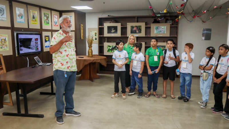 Exposição da prefeitura no Ecam destaca importância dos morcegos para a conservação da Amazônia