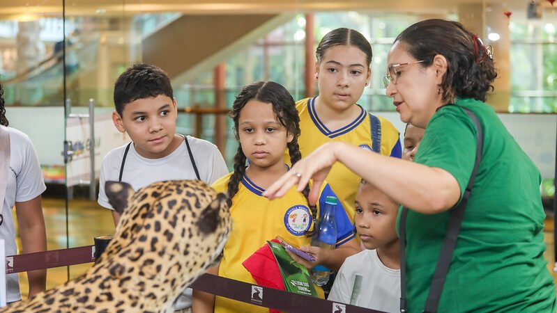 Prefeitura e Inpa promovem exposição ‘Animais da Amazônia’ em Manaus 