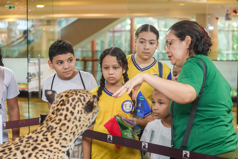 Prefeitura e Inpa promovem exposição ‘Animais da Amazônia’ em Manaus 