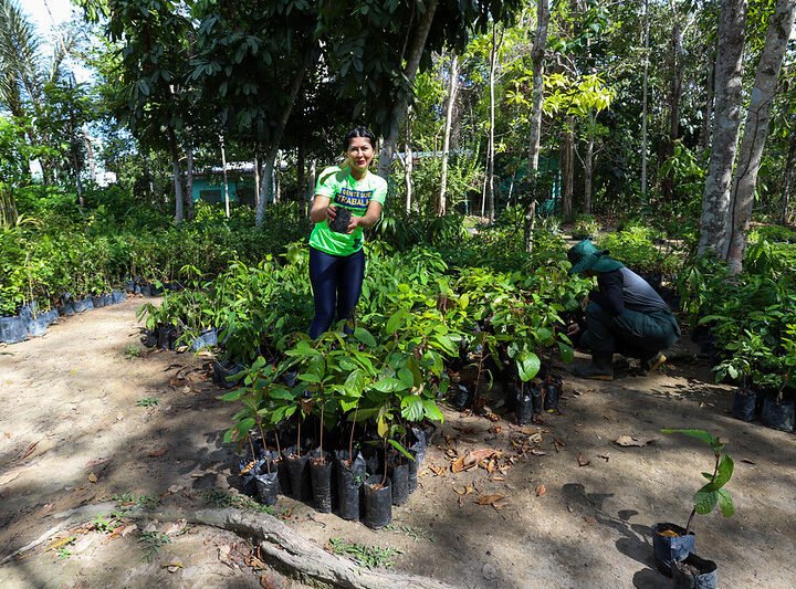 Prefeitura de Manaus celebra Dia da Árvore com recordes de arborização e doação de mudas