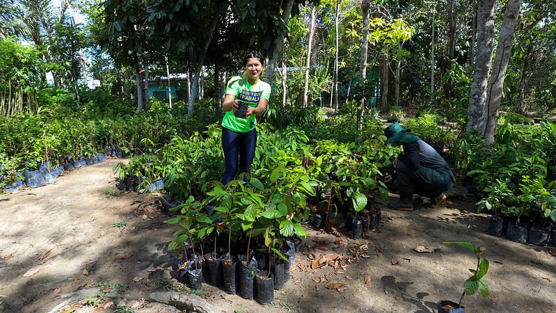 Prefeitura de Manaus celebra Dia da Árvore com recordes de arborização e doação de mudas