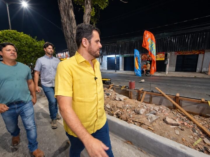 Prefeito Renato Junior garante permanência de árvores em canteiros centrais e anuncia plantio de novas