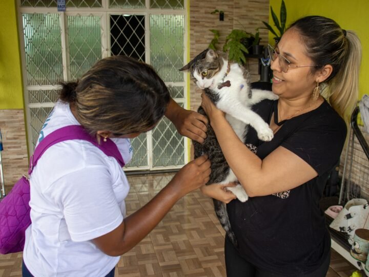 Prefeitura segue com vacinação de cães e gatos contra raiva nos bairros e em 27 postos fixos