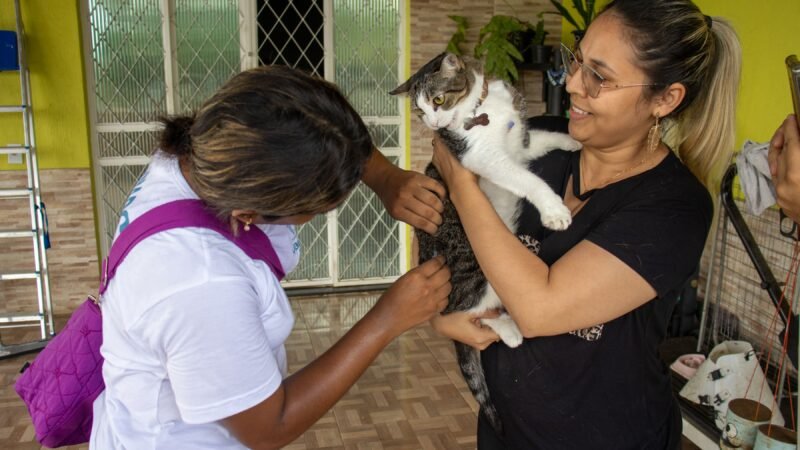 Prefeitura segue com vacinação de cães e gatos contra raiva nos bairros e em 27 postos fixos