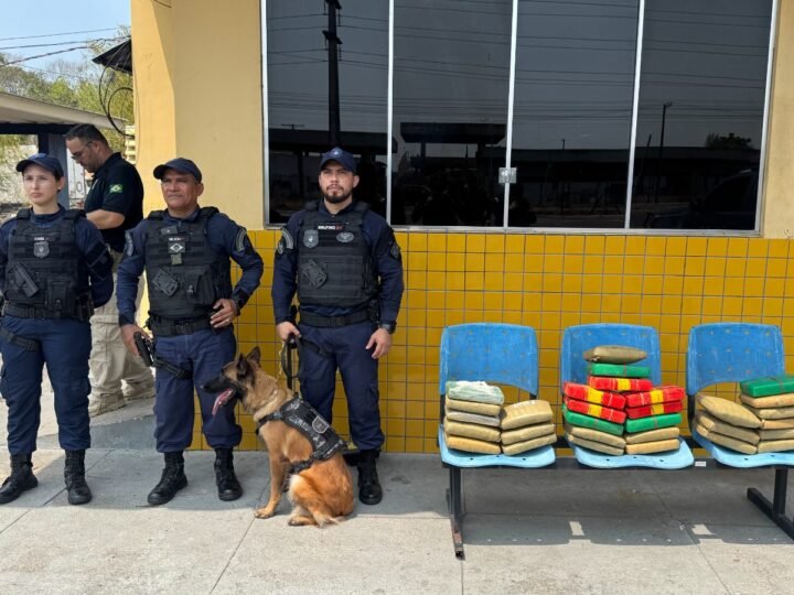 Atuação da cadela Zaya da Guarda Municipal de Manaus leva à apreensão de 30 quilos de entorpecentes em operação integrada