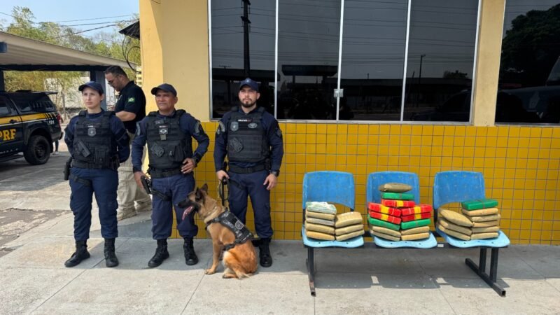 Atuação da cadela Zaya da Guarda Municipal de Manaus leva à apreensão de 30 quilos de entorpecentes em operação integrada