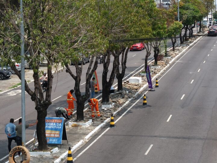 Prefeitura de Manaus reforça revitalização do canteiro central da avenida Castelo Branco e melhora segurança viária